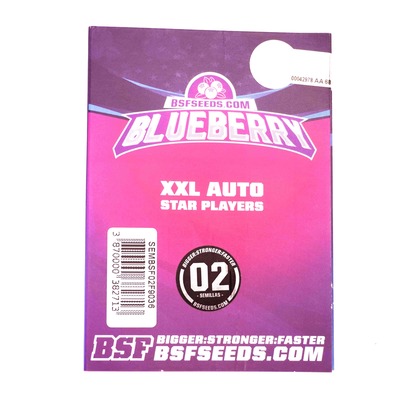 Blueberry XXL Auto > BSF Seeds | Autoflowering Hanfsamen  |  Indica